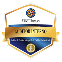 Auditor Interno