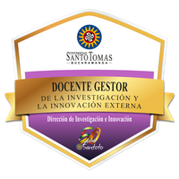 Docente gestor de la investigación y la innovación externa.