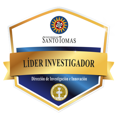 Docente investigador
