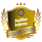Auditor Interno
