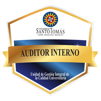 Auditor interno 2023