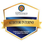 Auditor interno 2023