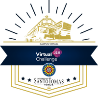 Virtual Challenge 2021