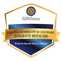 Estrategia de formación de capacidades - Integrante destacado