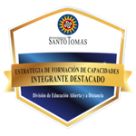Estrategia de formación de capacidades - Integrante destacado
