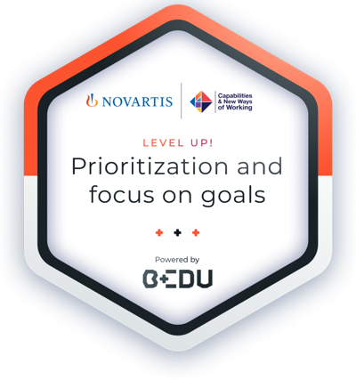 Prioritization and focus on goals