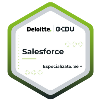 Salesforce Deloitte