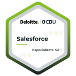 Salesforce Deloitte
