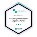 Técnicas y Dinámicas de Litigación Penal