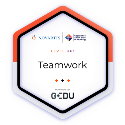 Teamwork