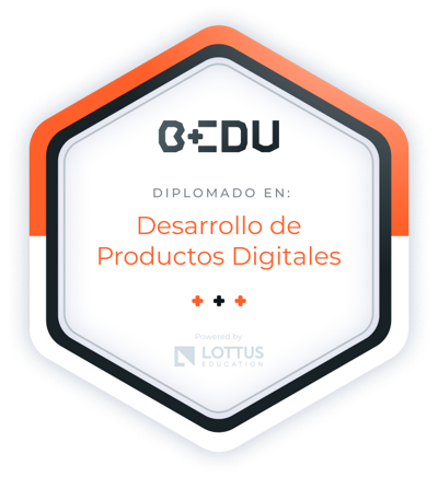 UX/UI Designer