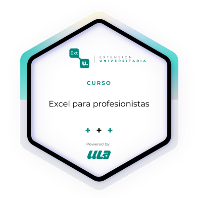 Excel para profesionistas