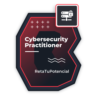 Cibersecurity Practitioner