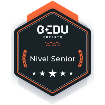 Experto Nivel Senior