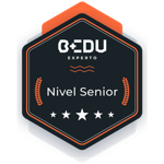 Experto Nivel Senior