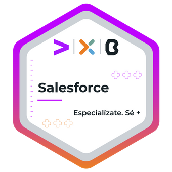 Salesforce Accenture Experis