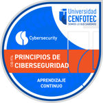 Principios de Ciberseguridad