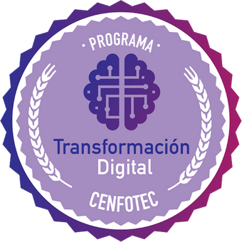 Programa en Transformación Digital