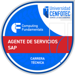 Técnico Superior Agente de Servicios SAP