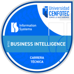 Técnico en Herramientas de Business Intelligence