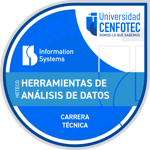 Técnico en Herramientas de Análisis de Datos