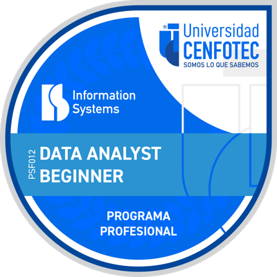 Data Analyst Beginner