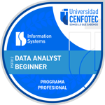 Data Analyst Beginner