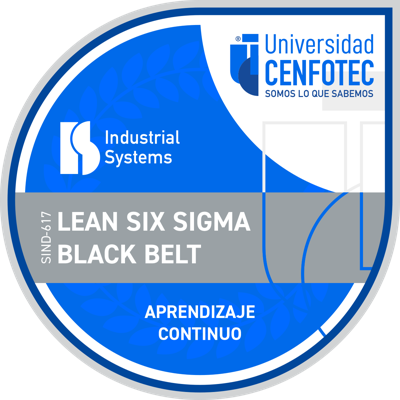 Lean Six Sigma Black Belt