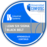 Lean Six Sigma Black Belt