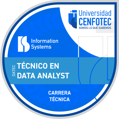 Técnico en Data Analyst
