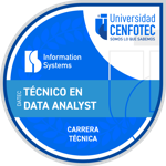 Técnico en Data Analyst