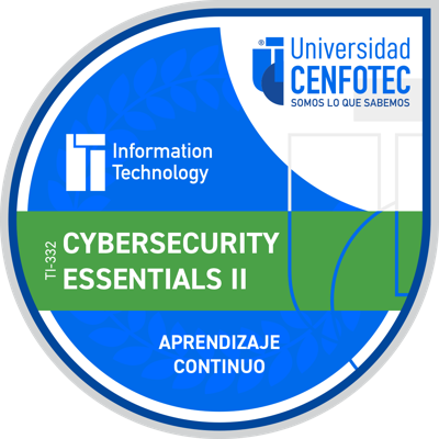 Cybersecurity Essentials II