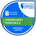 Cybersecurity Essentials II