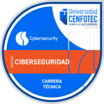 Técnico en Ciberseguridad
