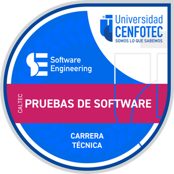 Técnico Superior en Pruebas del Software