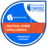 Tactical Cyber Intelligence