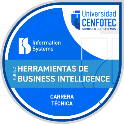 Técnico en Herramientas de Business Intelligence