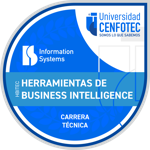 Técnico en Herramientas de Business Intelligence
