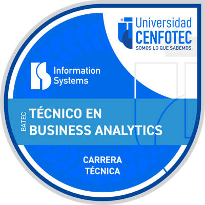 Técnico en Business Analytics