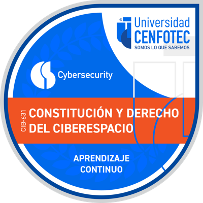 Constitución y Derecho del Ciberespacio
