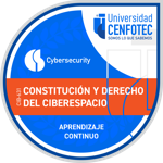 Constitución y Derecho del Ciberespacio
