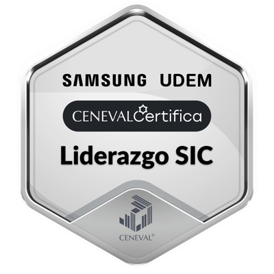 LIDERAZGO SIC - Intermedio