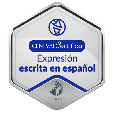 EXPRESIÓN ESCRITA EN ESPAÑOL - Nivel Intermedio