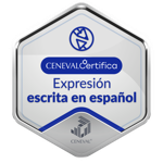 EXPRESIÓN ESCRITA EN ESPAÑOL - Nivel Intermedio