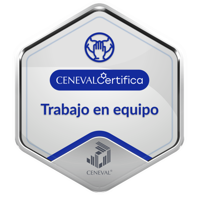 CER-TRABAJO EN EQUIPO-Nivel Intermedio