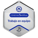 CER-TRABAJO EN EQUIPO-Nivel Intermedio
