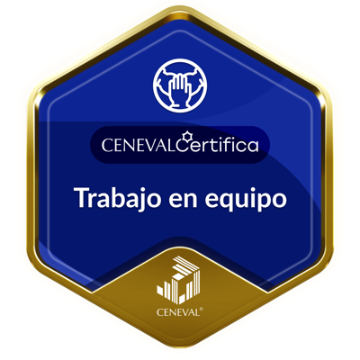 CER-TRABAJO EN EQUIPO-Nivel Avanzado