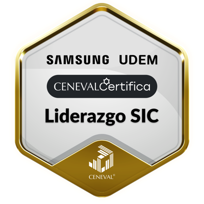 LIDERAZGO SIC - Avanzado