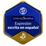 EXPRESIÓN ESCRITA EN ESPAÑOL - Nivel Avanzado